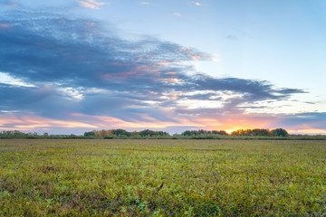 Clouds in the sky over the autumn meadow and forest. The evening sunset. Soft focus