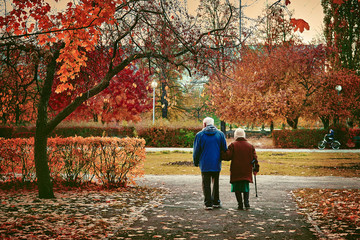 Fototapeta premium Rear view of an elderly couple on a walk in an autumn Park