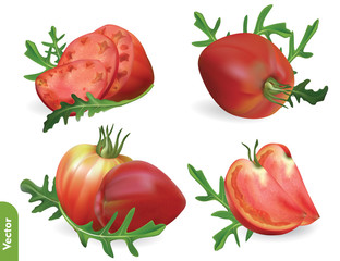Set of ripe oxheart tomato, whole, half and slices with arugula leaves on transparent background. 3d realistic vector food illustration of vegetables and herbs.