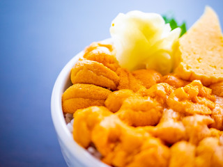 Sea urchin rice bowl (Sea urchin donburi)