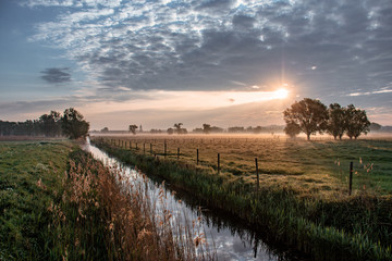 sunset over the field