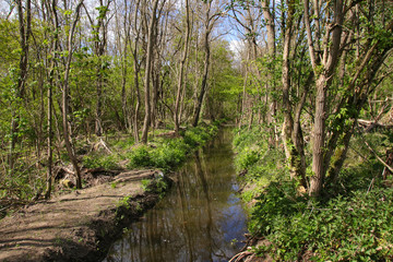 Obraz premium Nature reserve 