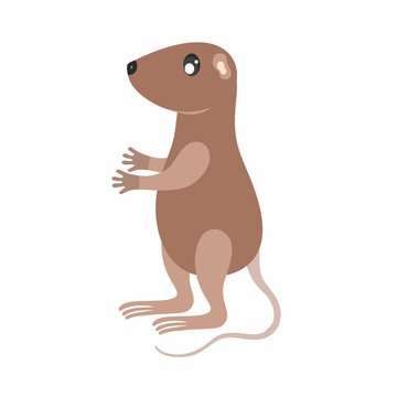 Children's cartoon illustration with the image of nutria. Wild nature, the figure inside for kids. Design of children's books, clothing, postcards, logos, alphabet with animals