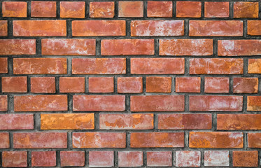 Fototapeta premium Old brick wall use as background image