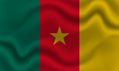 national flag of Cameroon on wavy cotton fabric. Realistic vector illustration.