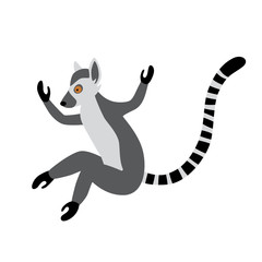 Cute funny ring-tailed lemur jumps. Exotic Lemur catta. Vector illustration in cartoon and flat style isolated on white background