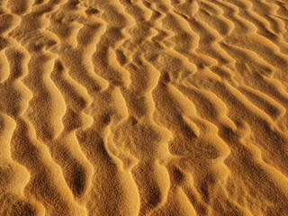 golden sand texture at sunset, background         