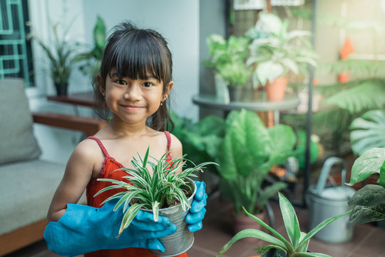 Happy Asian Kid Planting And Gardening Activity At Home By Herself