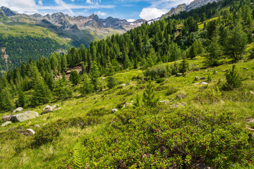 Castle of Tures and peaks of Selva dei Molini. Dream South Tyrol. Roma refuge. Italy.