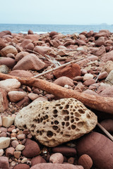 Vertical image of reddish marine rocks with ocean in the background and blue sky.