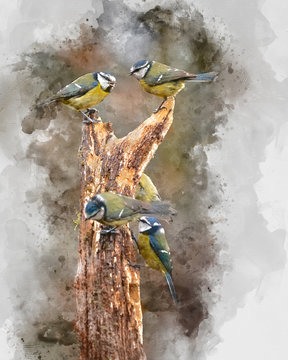 Digitally created watercolor painting of Image of Blue Tit bird Cyanistes Caeruleus on branich in Spring sunshine and rain in garden