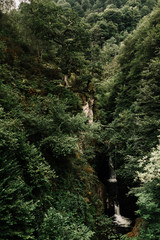 Small waterfall completely surrounded by a large green forest mass.