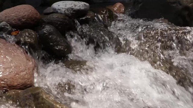 arroyo de la naturaleza en un bosque