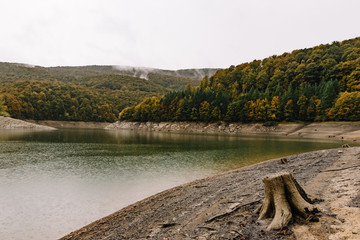 Low water level in the Irabia reservoir, with stump and clouds over the forest