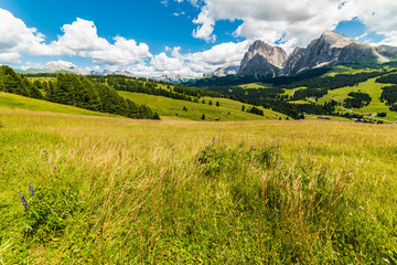 Magic of the Dolomites in summer. Alpe di Siusi. UNESCO. Italy.