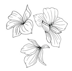 flower set of three elements for decoration. blooming flowers for greeting cards or invitations