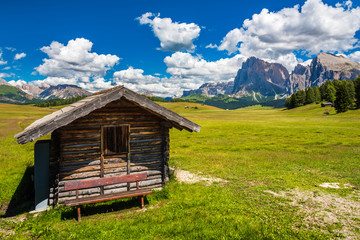 Fototapeta na wymiar Magic of the Dolomites in summer. Alpe di Siusi. UNESCO. Italy.