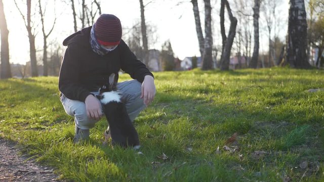 The dwarf rabbit jumps on the lap of a teenager, the rays of the sunset are reflected in the green grass