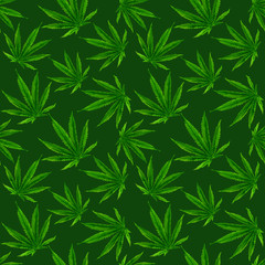 Marijuana gouache seamless pattern . Hemp marijuana, hemp leaves on green background. Green smoke hashish narcotic