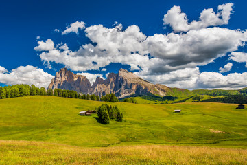 Obraz premium Magic of the Dolomites in summer. Alpe di Siusi. UNESCO. Italy.