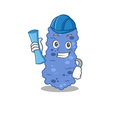 Cartoon character of burkholderia bacteria brainy Architect with blue prints and blue helmet