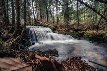 Long exposure photo of a stream or creek  in an alaska like forest. Water fall or cascade on a small river in deep forest. Flowing water, motion blur. Jeleni potok (Dear Creek) in Sumava National Park