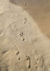 Traces of man on the sand in the tropics.