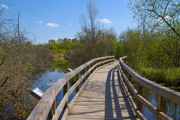Fototapeta na wymiar A Wooden plank bridge in nature reserve 
