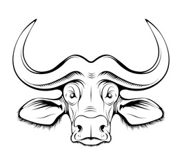 African buffalo. Cape Buffalo. hunting sport open season. Black bull of cape buffalo or desert buffalo with large horns for safari tour, sketch tattoo, mascot, logo, t-shirt or hunter club symbol