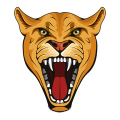Puma, lynx, lioness. Panther with angry face expression. Puma head mascot logo. lioness Mascot Color Logo. lynx Tattoo. Angry animal sports mascot. Wild cats. Logo animal for tattoo or T-shirt print