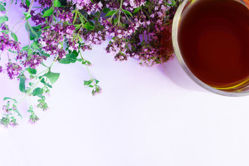 Tea in cup with bouquet of oregano in selective focus on white background with copy space