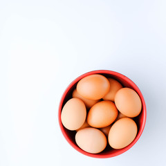 Close-up view of raw chicken eggs on white background