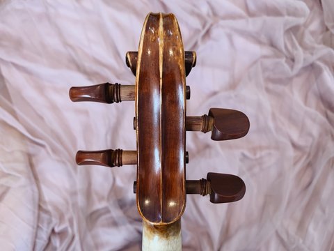 Violin Scroll Close Up View From The Back  - Pink Beige Ruffled Tule Fabric  As Background