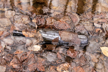 An old bottle for wine in water with last year's leaves.