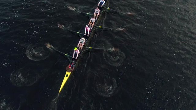 We Slow Rower