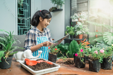 young woman planting flower at home and checking the plants using tablet pc