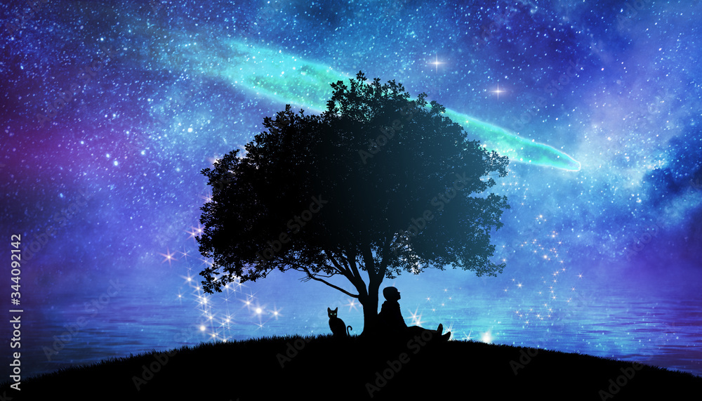Wall mural girl watching the stars in night sky fantasy landscape illustration