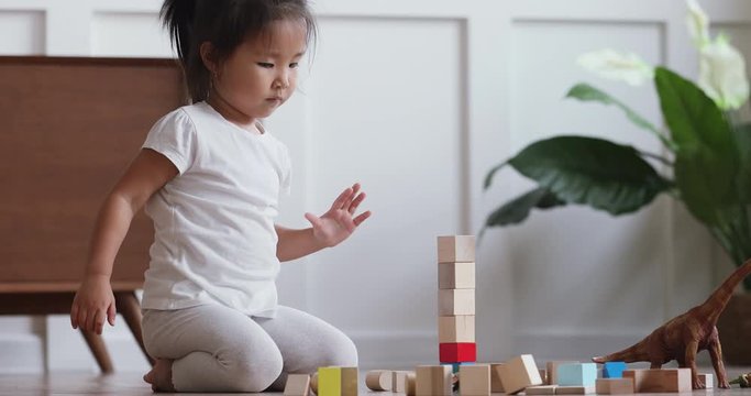 Full length focused little adorable vietnamese kid girl sitting on floor, playing with wooden cubes alone in living room. Happy cute asian ethnic baby daughter having fun, entertaining indoors.