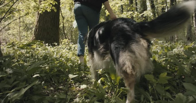Woman with face mask in hand give her female dog a sign to walk free on a forest trail in nature park on a post coronavirus staycation travel