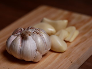 Garlic