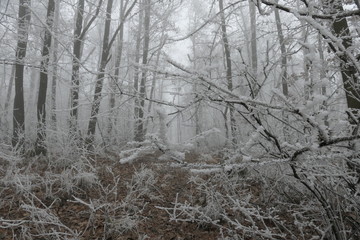 Photos of Budapest, Hungary and it's neighbourhood.
