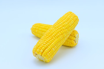 Sweet corn on white background