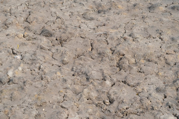 Soil fertile ground surface. Close up of natural pattern texture background. Top view of organic...