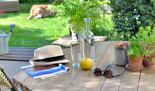 Close On Glass Drink And Apple On A Wooden Table In Garden  With A Dog Background