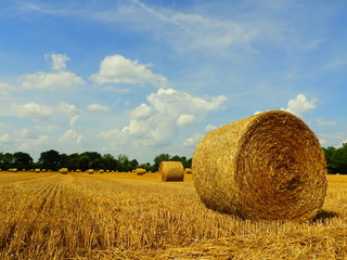 wieś © Krzysztof