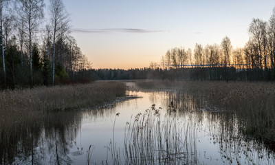 a small river in sunrise, tree reflections in the water, dry reeds, light before sunrise