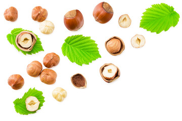 hazelnuts with leaves isolated on white background. top view