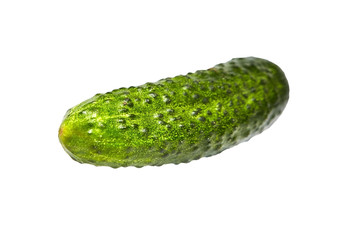 Single green fresh gherkin isolated on white background