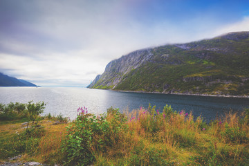 View of the fjord. Rocky seashore with cloudy sky. Beautiful nature of Norway