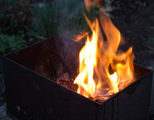 Red flame from a cut of a tree, dark gray coals inside a metal brazier. Firewood burning in a brazier on a bright yellow flame. Flames of fire preparing for cooking kebabs. Charcoal brazier coal